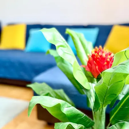 Dom wakacyjny House In - Private Patio - Surf - Baleal